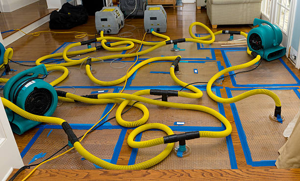 Professional Storm Water Damage Restoration technician working in Grand View, ID